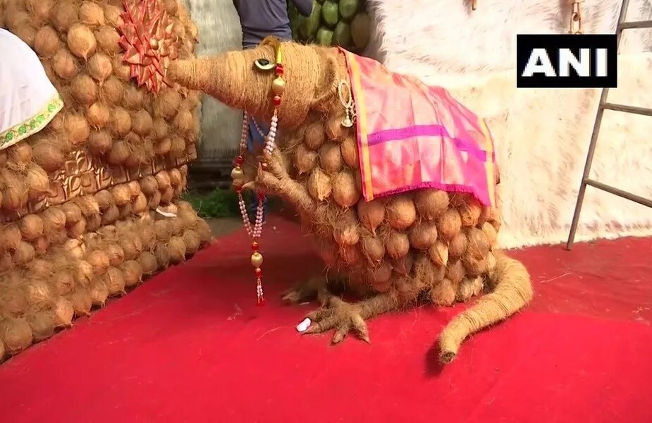 એવું કહેવામાં આવી રહ્યું છે કે આ નાળિયેરની પ્રતિમા બનાવવામાં 20 દિવસનો સમય લાગ્યો છે. તેના પર કામ કરતા 70થી વધુ લોકોએ ઇકો ફ્રેન્ડલી પ્રતિમા મૂકી છે. મંદિરને સજાવવા માટે નાળિયેર ઉપરાંત 20 થી વધુ પ્રકારના શાકભાજીનો પણ ઉપયોગ કરવામાં આવ્યો છે. મોહન રાજુ એક ભક્ત કહે છે કે ગણપતિની મૂર્તિ સ્થાપિત કરવા માટે તે વસ્તુઓનો ઉપયોગ કરવામાં આવ્યો છે જે પર્યાવરણને અનુકૂળ છે. એવું કહેવામાં આવી રહ્યું છે કે આ નાળિયેરની પ્રતિમા બનાવવામાં 20 દિવસનો સમય લાગ્યો છે. તેના પર કામ કરતા 70થી વધુ લોકોએ ઇકો ફ્રેન્ડલી પ્રતિમા મૂકી છે. મંદિરને સજાવવા માટે નાળિયેર ઉપરાંત 20 થી વધુ પ્રકારના શાકભાજીનો પણ ઉપયોગ કરવામાં આવ્યો છે. મોહન રાજુ એક ભક્ત કહે છે કે ગણપતિની મૂર્તિ સ્થાપિત કરવા માટે તે વસ્તુઓનો ઉપયોગ કરવામાં આવ્યો છે જે પર્યાવરણને અનુકૂળ છે.