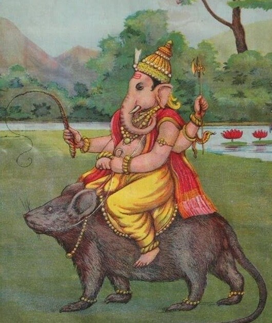 આશ્રમમાં માટીના વાસણો તોડી બધું અનાજ ખાઈ ગયો. ત્યાંના બગીચાઓને વેર વિખેર કરી નાંખ્યા. ઋષિઓના તમામ વસ્ત્રો ફાડી નાખ્યા. પરાશર ઋષિ દુ:ખી થઈ ગણેશજીના શરણમાં ગયા. ગણેશજીએ પરાશર ઋષિને કહ્યું કે હું તે ઊંદરને મારું વાહન બનાવી લઈશ. આશ્રમમાં માટીના વાસણો તોડી બધું અનાજ ખાઈ ગયો. ત્યાંના બગીચાઓને વેર વિખેર કરી નાંખ્યા. ઋષિઓના તમામ વસ્ત્રો ફાડી નાખ્યા. પરાશર ઋષિ દુ:ખી થઈ ગણેશજીના શરણમાં ગયા. ગણેશજીએ પરાશર ઋષિને કહ્યું કે હું તે ઊંદરને મારું વાહન બનાવી લઈશ.