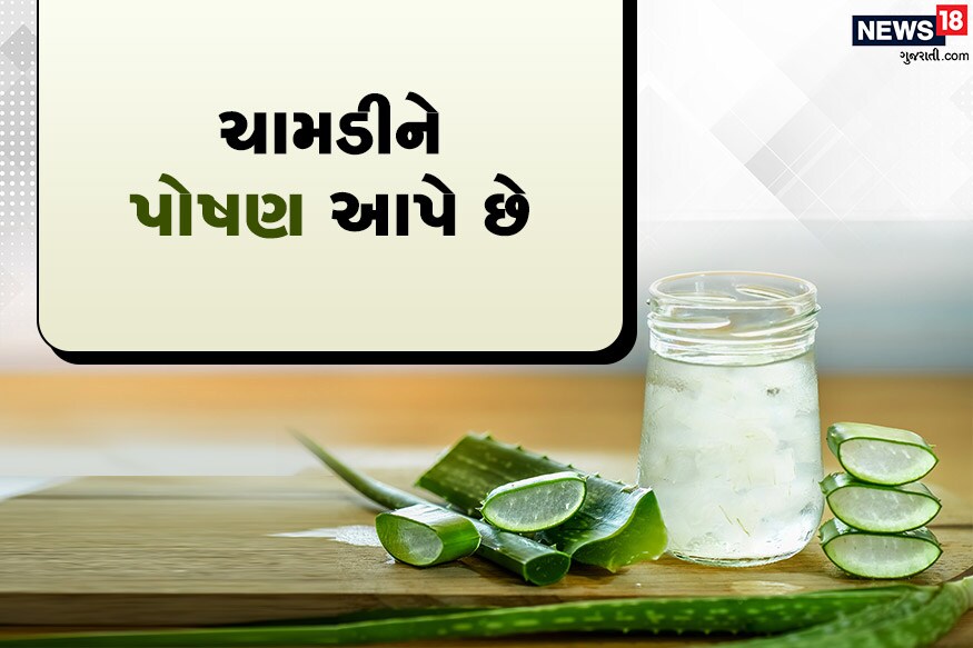 એલોવીરા ચામડી માટે નેચરલ મોઈશ્ચુરાઈઝરનું કામ કરે છે.<br />સાથે પોષણ આપવાનું પણ કામ કરે છે.<br />પણ ધ્યાન રાખો કે એલોવીરા જેલથી કોઈ ઍલર્જી ન થાય. એલોવીરા ચામડી માટે નેચરલ મોઈશ્ચુરાઈઝરનું કામ કરે છે.<br />સાથે પોષણ આપવાનું પણ કામ કરે છે.<br />પણ ધ્યાન રાખો કે એલોવીરા જેલથી કોઈ ઍલર્જી ન થાય.