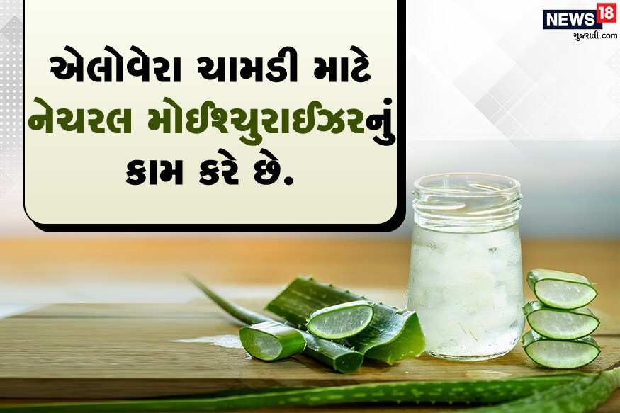એલોવીરા ચામડી માટે નેચરલ મોઈશ્ચુરાઈઝરનું કામ કરે છે.<br />સાથે પોષણ આપવાનું પણ કામ કરે છે.<br />પણ ધ્યાન રાખો કે એલોવીરા જેલથી કોઈ ઍલર્જી ન થાય. એલોવીરા ચામડી માટે નેચરલ મોઈશ્ચુરાઈઝરનું કામ કરે છે.<br />સાથે પોષણ આપવાનું પણ કામ કરે છે.<br />પણ ધ્યાન રાખો કે એલોવીરા જેલથી કોઈ ઍલર્જી ન થાય.