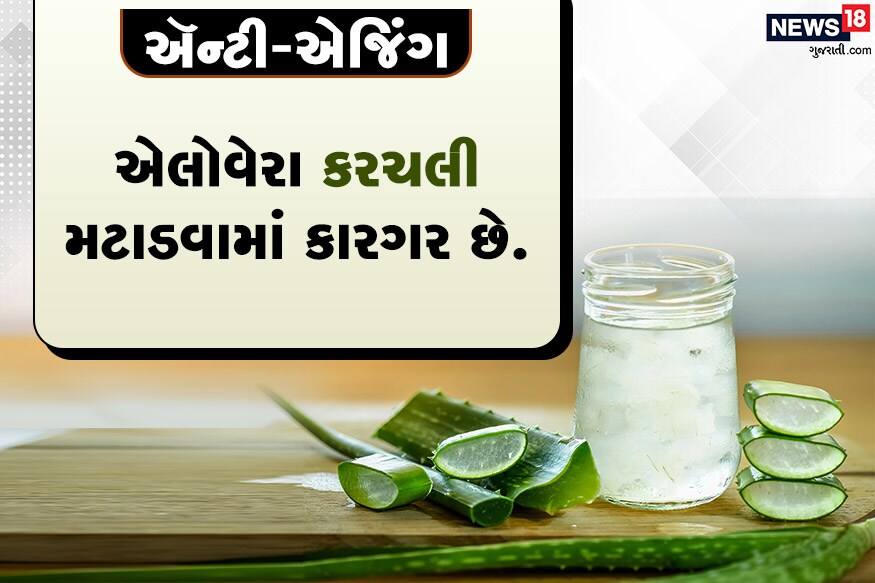ઍન્ટી-એજિંગ<br />એલોવેરા કરચલી મટાડવામાં કારગર છે.<br />રોજ એલોવેરા જેલના ઉપયોગથી લાંબા સમય સુધી યુવાન દેખાશો. ઍન્ટી-એજિંગ<br />એલોવેરા કરચલી મટાડવામાં કારગર છે.<br />રોજ એલોવેરા જેલના ઉપયોગથી લાંબા સમય સુધી યુવાન દેખાશો.