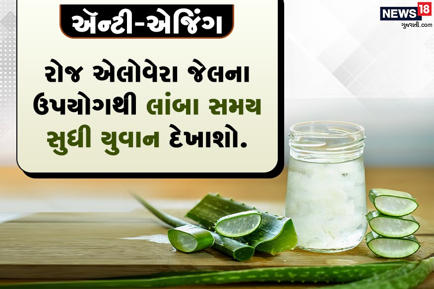 ઍન્ટી-એજિંગ<br />એલોવેરા કરચલી મટાડવામાં કારગર છે.<br />રોજ એલોવેરા જેલના ઉપયોગથી લાંબા સમય સુધી યુવાન દેખાશો. ઍન્ટી-એજિંગ<br />એલોવેરા કરચલી મટાડવામાં કારગર છે.<br />રોજ એલોવેરા જેલના ઉપયોગથી લાંબા સમય સુધી યુવાન દેખાશો.