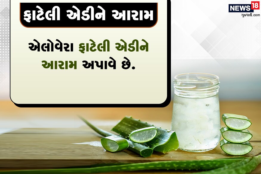 ફાટેલી એડીને આરામ<br />એલોવેરા ફાટેલી એડીને આરામ અપાવે છે.<br />હોઠને મુલાયમ અને ગુલાબ જેવા બનાવે છે. ફાટેલી એડીને આરામ<br />એલોવેરા ફાટેલી એડીને આરામ અપાવે છે.<br />હોઠને મુલાયમ અને ગુલાબ જેવા બનાવે છે.