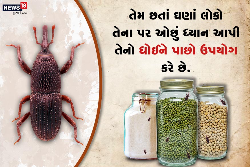 તેમ છતાં ઘણાં લોકો તેના પર ઓછું ધ્યાન આપી તેનો ધોઈને પાછો ઉપયોગ કરે છે. પરંતુ તેમાંથી ગંભીર બીમારીઓ થઈ શકે છે. તેમ છતાં ઘણાં લોકો તેના પર ઓછું ધ્યાન આપી તેનો ધોઈને પાછો ઉપયોગ કરે છે. પરંતુ તેમાંથી ગંભીર બીમારીઓ થઈ શકે છે.