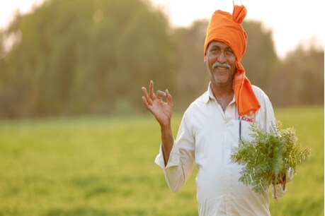 80 લાખથી વધુ સર્વે નંબરોના 2004 પહેલાના 7/12ના ઉતારા ઓનલાઈન થશે 80 લાખથી વધુ સર્વે નંબરોના 2004 પહેલાના 7/12ના ઉતારા ઓનલાઈન થશે