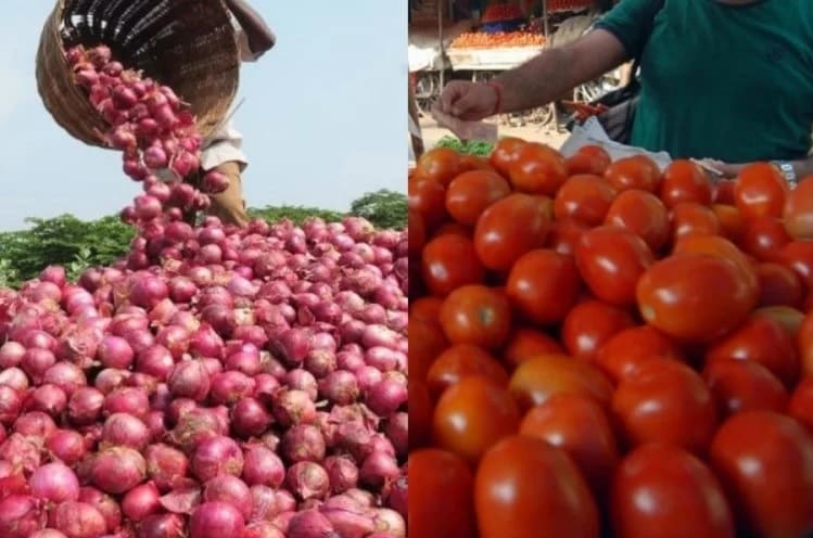 ડુંગળી પછી ટમેટાના ભાવ હવે (Vegetable Price Soar) સાતમા આસમાને પહોંચી ગયા છે. છેલ્લા એક અઠવાડિયામાં 30 થી 40 રૂપિયા પ્રતિ કિલોના દરે ઉપલબ્ધ ટામેટાં હવે 80 રૂપિયાને પાર કરી ગયા છે. દિલ્હીમાં એક લિટર પેટ્રોલની કિંમત ઘટીને રૂપિયા 74.04 પર આવી ગઈ છે. દેશની રાજધાની દિલ્હીમાં છેલ્લા 10 દિવસમાં ટામેટાંના ભાવમાં ડબલ ગણો વધારો થયો છે. ટામેટા હાલમાં મહારાષ્ટ્ર, કર્ણાટક અને દિલ્હીના હિમાચલ પ્રદેશથી આવી રહ્યા છે. વેપારીઓએ કહ્યું કે કર્ણાટક અને મહારાષ્ટ્રમાં ભારે વરસાદને કારણે પાક બગડ્યો છે, જેના કારણે ટામેટાંનું આગમન પણ નબળું છે. ડુંગળી પછી ટમેટાના ભાવ હવે (Vegetable Price Soar) સાતમા આસમાને પહોંચી ગયા છે. છેલ્લા એક અઠવાડિયામાં 30 થી 40 રૂપિયા પ્રતિ કિલોના દરે ઉપલબ્ધ ટામેટાં હવે 80 રૂપિયાને પાર કરી ગયા છે. દિલ્હીમાં એક લિટર પેટ્રોલની કિંમત ઘટીને રૂપિયા 74.04 પર આવી ગઈ છે. દેશની રાજધાની દિલ્હીમાં છેલ્લા 10 દિવસમાં ટામેટાંના ભાવમાં ડબલ ગણો વધારો થયો છે. ટામેટા હાલમાં મહારાષ્ટ્ર, કર્ણાટક અને દિલ્હીના હિમાચલ પ્રદેશથી આવી રહ્યા છે. વેપારીઓએ કહ્યું કે કર્ણાટક અને મહારાષ્ટ્રમાં ભારે વરસાદને કારણે પાક બગડ્યો છે, જેના કારણે ટામેટાંનું આગમન પણ નબળું છે.