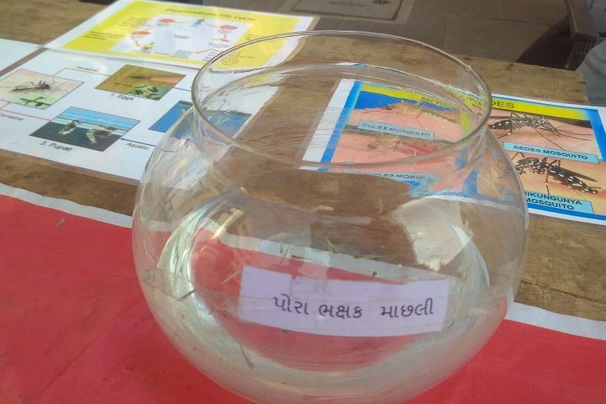 શહેરમાં રોગચાળાનો આંક તીવ્ર ગતિથી વધી રહ્યોં છે. અને શહેરની સરકારી અને ખાનગી હોસ્પિટલો ડેન્ગ્યુ મેલેરિયાના દર્દીઓથી ઉભરાઈ રહી છે. અમદાવાદમાં રોગચાળાના આંક પર નજર કરીએ તો, હાલમાં 27 ઓક્ટોબરથી 2 નવેમ્બર સુધી એટલે કે માત્ર સાત દિવસના આંકડા અમદાવાદ મ્યુનિસિપલ કોર્પોરેશને જાહેર કર્યા હતા. જેમાં રોગચાળાનો કુલ આંક 580ની પાર પહોંચયો હતો. જયારે સાત દિવસમાં જ શહેરમાં ડેન્ગ્યુના કેસ 272ને આંબી ગયો છે. શહેરમાં રોગચાળાનો આંક તીવ્ર ગતિથી વધી રહ્યોં છે. અને શહેરની સરકારી અને ખાનગી હોસ્પિટલો ડેન્ગ્યુ મેલેરિયાના દર્દીઓથી ઉભરાઈ રહી છે. અમદાવાદમાં રોગચાળાના આંક પર નજર કરીએ તો, હાલમાં 27 ઓક્ટોબરથી 2 નવેમ્બર સુધી એટલે કે માત્ર સાત દિવસના આંકડા અમદાવાદ મ્યુનિસિપલ કોર્પોરેશને જાહેર કર્યા હતા. જેમાં રોગચાળાનો કુલ આંક 580ની પાર પહોંચયો હતો. જયારે સાત દિવસમાં જ શહેરમાં ડેન્ગ્યુના કેસ 272ને આંબી ગયો છે.