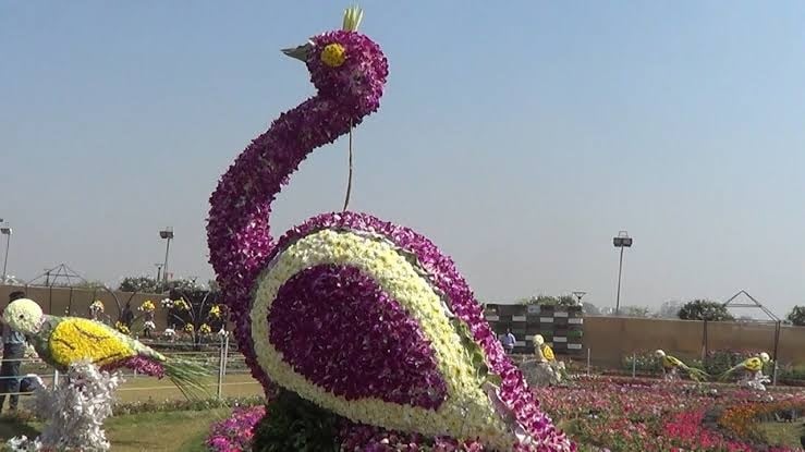 ગત ફ્લાવર શોની 5 લાખ જેટલા લોકોએ મુલાકાત લીધી હતી. શનિ રવિ દરમિયાન ફ્લાવર શો જોવા માટે લાખોની સંખ્યામાં લોકો ઊમટતા અંધાધૂંધી સર્જાઈ હતી અને કોર્પોરેશન દ્વારા શનિ રવિ એન્ટ્રી ફી 50 રૂપિયા કરી દેવામાં આવી હતી. ફ્લાવર શોમાં સ્કૂલના વિદ્યાર્થીઓને પણ સ્કૂલ તરફથી લેટરપેડ લઈને આવશે તો વિદ્યાર્થીઓ અને સ્ટાફને ફ્રીમાં એન્ટ્રી આપવામાં આવશે. સિનિયર સીટીઝન, વિકલાંગો અને 12 વર્ષના બાળકોને ફ્રીમાં એન્ટ્રી આપવામા આવશે. કોર્પોરેશન દ્વારા આ વર્ષે આ ફ્લાવર શો 15 દિવસ માટે યોજાય તેવી શકયતા જણાય રહી છે. ગત ફ્લાવર શોની 5 લાખ જેટલા લોકોએ મુલાકાત લીધી હતી. શનિ રવિ દરમિયાન ફ્લાવર શો જોવા માટે લાખોની સંખ્યામાં લોકો ઊમટતા અંધાધૂંધી સર્જાઈ હતી અને કોર્પોરેશન દ્વારા શનિ રવિ એન્ટ્રી ફી 50 રૂપિયા કરી દેવામાં આવી હતી. ફ્લાવર શોમાં સ્કૂલના વિદ્યાર્થીઓને પણ સ્કૂલ તરફથી લેટરપેડ લઈને આવશે તો વિદ્યાર્થીઓ અને સ્ટાફને ફ્રીમાં એન્ટ્રી આપવામાં આવશે. સિનિયર સીટીઝન, વિકલાંગો અને 12 વર્ષના બાળકોને ફ્રીમાં એન્ટ્રી આપવામા આવશે. કોર્પોરેશન દ્વારા આ વર્ષે આ ફ્લાવર શો 15 દિવસ માટે યોજાય તેવી શકયતા જણાય રહી છે.