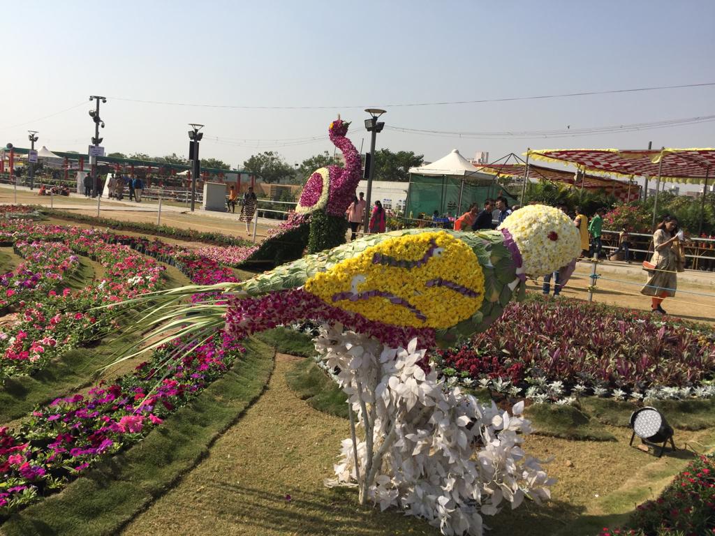 ગત ફ્લાવર શોમાં અલગ-અલગ પ્રકારના ફ્લાવર્સ જોવા મળ્યા હતા. ઓર્કીડ, ઈંગ્લીશ ગુલાબ, કાર્નેશન તેમજ અન્ય ફુલોમાંથી બનાવેલ જીરાફ, બટરફ્લાય, ક્લસ્ટર, હરણ, ફ્લેમિંગો, મોર, વાઈબ્રન્ટ ગુજરાત ગ્લોબ, સી-પ્લેન, બુલેટ ટ્રેન, ગાંધીજી, ચરખો, ચશ્મા વગેરે જેવી કુલ 50થી વધુ લાઈવ સ્કલપચર જોવા મળ્યાં હતાં. ગત ફ્લાવર શોમાં અલગ-અલગ પ્રકારના ફ્લાવર્સ જોવા મળ્યા હતા. ઓર્કીડ, ઈંગ્લીશ ગુલાબ, કાર્નેશન તેમજ અન્ય ફુલોમાંથી બનાવેલ જીરાફ, બટરફ્લાય, ક્લસ્ટર, હરણ, ફ્લેમિંગો, મોર, વાઈબ્રન્ટ ગુજરાત ગ્લોબ, સી-પ્લેન, બુલેટ ટ્રેન, ગાંધીજી, ચરખો, ચશ્મા વગેરે જેવી કુલ 50થી વધુ લાઈવ સ્કલપચર જોવા મળ્યાં હતાં.
