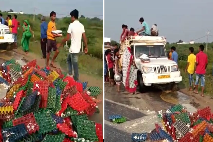 અમુક લોકો ઇંડા ભરેલી ટ્રે લઈને જ ભાગ્યા હતા. જ્યારે અમુક લોકોએ થેલી કે પછી ડોલ સહિતના વાસણોમાં ઇંડા ભરી લીધા હતા. અમુક લોકો ઇંડા ભરેલી ટ્રે લઈને જ ભાગ્યા હતા. જ્યારે અમુક લોકોએ થેલી કે પછી ડોલ સહિતના વાસણોમાં ઇંડા ભરી લીધા હતા.