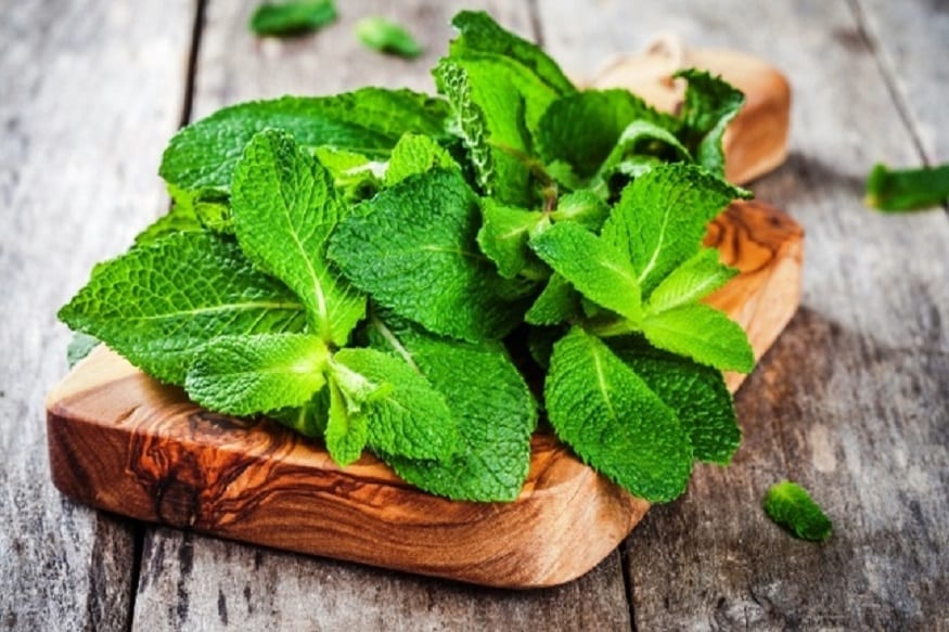 ફૂદીનો (Peppermint):- ફૂદીનાની ચટણી અને શિંકજીમાં ઉપયોગ ખુબ જ સારો માનવામાં આવે છે. ફૂદીનો ખાવાથી પાચનમાં પણ વધારે અસરદાયક છે. તમારે જો પેટ ઉપર ચરબી જમા થવા દેવી નથી તો ફૂદાનો ઉપયોગ આજથી જ શરૂ કરી દો. ફૂદીનો (Peppermint):- ફૂદીનાની ચટણી અને શિંકજીમાં ઉપયોગ ખુબ જ સારો માનવામાં આવે છે. ફૂદીનો ખાવાથી પાચનમાં પણ વધારે અસરદાયક છે. તમારે જો પેટ ઉપર ચરબી જમા થવા દેવી નથી તો ફૂદાનો ઉપયોગ આજથી જ શરૂ કરી દો.
