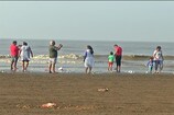 Video: 'મહા' વાવાઝોડાંના ખતરા વચ્ચે સુરતીઓ દરિયા કાંઠે ઉમટી પડ્યા