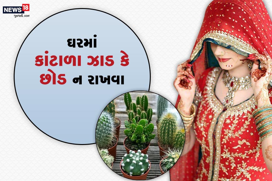 -સંધ્યા સમયે જ્યારે ઘરમાં દીવો કરો તે સમયે જમવું કે નહાવું નહીં. સાંજના સમયે ઘરમાં સુંગધિત અને પવિત્ર ધૂપ અથવા કપૂર પ્રજ્વલિત કરવું. સંધ્યા ટાણે અને ગોધુળી વેળાએ સુઇ જવું નહી. -સંધ્યા સમયે જ્યારે ઘરમાં દીવો કરો તે સમયે જમવું કે નહાવું નહીં. સાંજના સમયે ઘરમાં સુંગધિત અને પવિત્ર ધૂપ અથવા કપૂર પ્રજ્વલિત કરવું. સંધ્યા ટાણે અને ગોધુળી વેળાએ સુઇ જવું નહી.