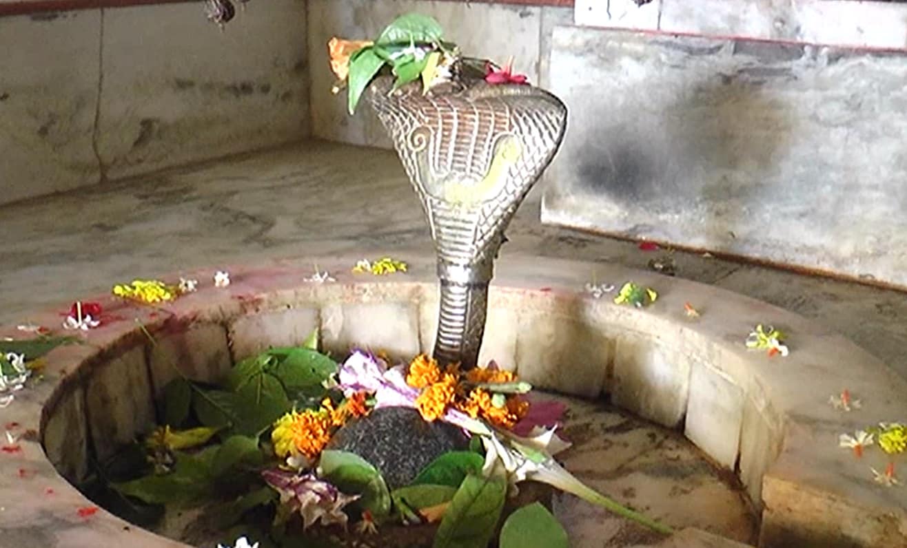 કામરેજના તાપી કિનારે આવેલા જુના હરીશચંદ્ર મહાદેવના મંદિરે બાળપણથી દર્શને આવતા લોકો ને અહીં બિરાજેલા બ્રહ્માજી અને નારદજી ના ચમત્કારનો અનુભવ ઘણી વખત થયો છે અને જેના કારણે આજે પણ તેઓ પોતાના દિવસની શરૂઆત કરતા પહેલા અહીં આવતા હોય છે અને પિતા પુત્રના દર્શન કરી પોતાના રાબેતા મુજબના કામો કરતા હોય છે. કામરેજના તાપી કિનારે આવેલા જુના હરીશચંદ્ર મહાદેવના મંદિરે બાળપણથી દર્શને આવતા લોકો ને અહીં બિરાજેલા બ્રહ્માજી અને નારદજી ના ચમત્કારનો અનુભવ ઘણી વખત થયો છે અને જેના કારણે આજે પણ તેઓ પોતાના દિવસની શરૂઆત કરતા પહેલા અહીં આવતા હોય છે અને પિતા પુત્રના દર્શન કરી પોતાના રાબેતા મુજબના કામો કરતા હોય છે.