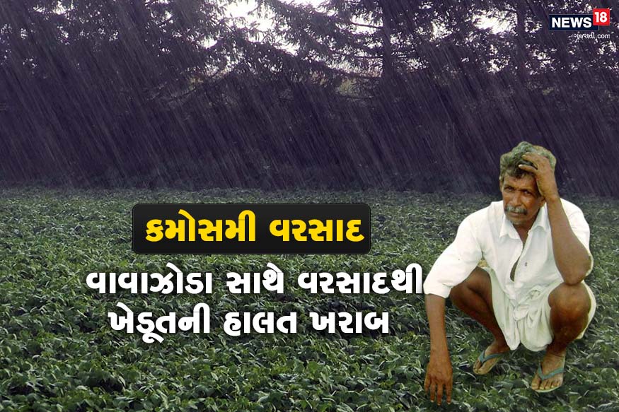 રાજ્યના અનેક વિસ્તારોમાં ચોમાસા જેવી પરિસ્થિતિ સર્જાઈ છે. ભર શિયાળે વાવાઝોડા સાથે વરસાદ વરસવા લાગ્યો છે. જેને પગલે મોટાપાયે ખેતીને નુકશાન થયાની ભીતી સેવાઈ રહી છે. ખેડૂતોના હાલ બેહાલ થયા છે, અને ચિંતાનું મોજુ ફરી વળ્યું છે. તો જોઈએ કયા વિસ્તારમાં કેવો વરસાદી માહોલ સર્જાયો છે. રાજ્યના અનેક વિસ્તારોમાં ચોમાસા જેવી પરિસ્થિતિ સર્જાઈ છે. ભર શિયાળે વાવાઝોડા સાથે વરસાદ વરસવા લાગ્યો છે. જેને પગલે મોટાપાયે ખેતીને નુકશાન થયાની ભીતી સેવાઈ રહી છે. ખેડૂતોના હાલ બેહાલ થયા છે, અને ચિંતાનું મોજુ ફરી વળ્યું છે. તો જોઈએ કયા વિસ્તારમાં કેવો વરસાદી માહોલ સર્જાયો છે.