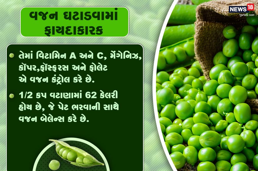 વજન ઘટાડવામાં ફાયદાકારક.. તેમાં વિટામિન A અને C, મેંગેનિઝ, કૉપર,<br />ફૉસ્ફરસ અને ફોલેટ એ વજન કંટ્રોલ કરે છે. 1/2 કપ વટાણામાં 62 કેલરી હોય છે,<br />જે પેટ ભરવાની સાથે વજન બેલેન્સ કરે છે. વજન ઘટાડવામાં ફાયદાકારક.. તેમાં વિટામિન A અને C, મેંગેનિઝ, કૉપર,<br />ફૉસ્ફરસ અને ફોલેટ એ વજન કંટ્રોલ કરે છે. 1/2 કપ વટાણામાં 62 કેલરી હોય છે,<br />જે પેટ ભરવાની સાથે વજન બેલેન્સ કરે છે.