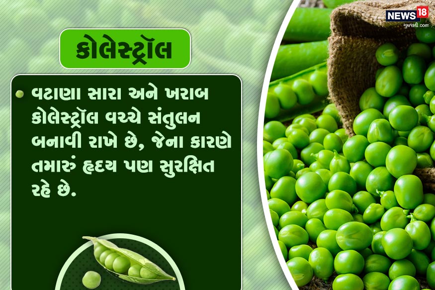 કોલેસ્ટ્રૉલ.. વટાણા સારા અને ખરાબ કોલેસ્ટ્રૉલ વચ્ચે સંતુલન બનાવી રાખે છે, જેના કારણે તમારું<br />હૃદય પણ સુરક્ષિત રહે છે. કોલેસ્ટ્રૉલ.. વટાણા સારા અને ખરાબ કોલેસ્ટ્રૉલ વચ્ચે સંતુલન બનાવી રાખે છે, જેના કારણે તમારું<br />હૃદય પણ સુરક્ષિત રહે છે.