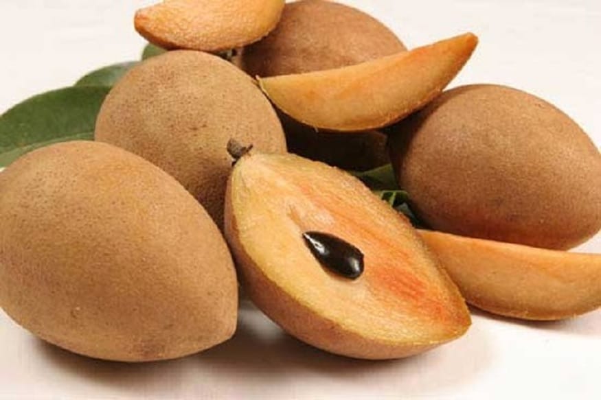 લાઈફસ્ટાઈલ ડેસ્કઃ ચીકુ (Sapodilla) પોતાના ખાસ સ્વાદ અને મીઠાશ માટે જાણીતું છે. ચીકુમાં શર્કરાની માત્રા વધારે હોય છે. આ લોહીમાં ભળીને તાજગી આપે છે અને આંતરડા (Intestine) મજબૂત થાય છે. ચીકુના ફળમાં 71 % પાણી, 1.5 % પ્રોટીન, 1.5 % ચર્બી અને 25 % કાર્બોહાઈટ્રેડ હોય છે. ચીકુના ફળમાં 14 % શર્કરા પણ હોય છે. તેની છાલમાં ટૈનિન હોય છે.તથા તેમાંથી ફોસ્ફરસ અને લોહ તત્વ વધારે પ્રમાણમાં મળે છે, ક્ષારનો પણ કેટલોક અંશ હોય છે. ચીકુમાં થોડી માત્રામાં સંપોટિન નામક તત્વ હોય છે. (health Tips) લાઈફસ્ટાઈલ ડેસ્કઃ ચીકુ (Sapodilla) પોતાના ખાસ સ્વાદ અને મીઠાશ માટે જાણીતું છે. ચીકુમાં શર્કરાની માત્રા વધારે હોય છે. આ લોહીમાં ભળીને તાજગી આપે છે અને આંતરડા (Intestine) મજબૂત થાય છે. ચીકુના ફળમાં 71 % પાણી, 1.5 % પ્રોટીન, 1.5 % ચર્બી અને 25 % કાર્બોહાઈટ્રેડ હોય છે. ચીકુના ફળમાં 14 % શર્કરા પણ હોય છે. તેની છાલમાં ટૈનિન હોય છે.તથા તેમાંથી ફોસ્ફરસ અને લોહ તત્વ વધારે પ્રમાણમાં મળે છે, ક્ષારનો પણ કેટલોક અંશ હોય છે. ચીકુમાં થોડી માત્રામાં સંપોટિન નામક તત્વ હોય છે. (health Tips)