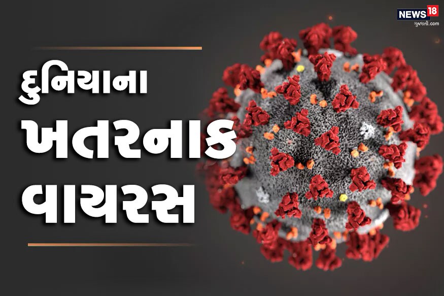 ચીનથી દુનિયાના બાકી દેશોમાં ફેલાયેલો કોરોનાવાયરસ એકમાત્ર વાયરસ નથી. પહેલા પણ આવા અનેક વાયરસ ફેલાયા છે જે જાનવરોથી માણસો સુધી પહોંચ્યા. આવો જાણીએ દુનિયાના સૌથી ખતરનાક વાયરસો વિશે અને તે ક્યાંથી ફેલાય છે? ચીનથી દુનિયાના બાકી દેશોમાં ફેલાયેલો કોરોનાવાયરસ એકમાત્ર વાયરસ નથી. પહેલા પણ આવા અનેક વાયરસ ફેલાયા છે જે જાનવરોથી માણસો સુધી પહોંચ્યા. આવો જાણીએ દુનિયાના સૌથી ખતરનાક વાયરસો વિશે અને તે ક્યાંથી ફેલાય છે?
