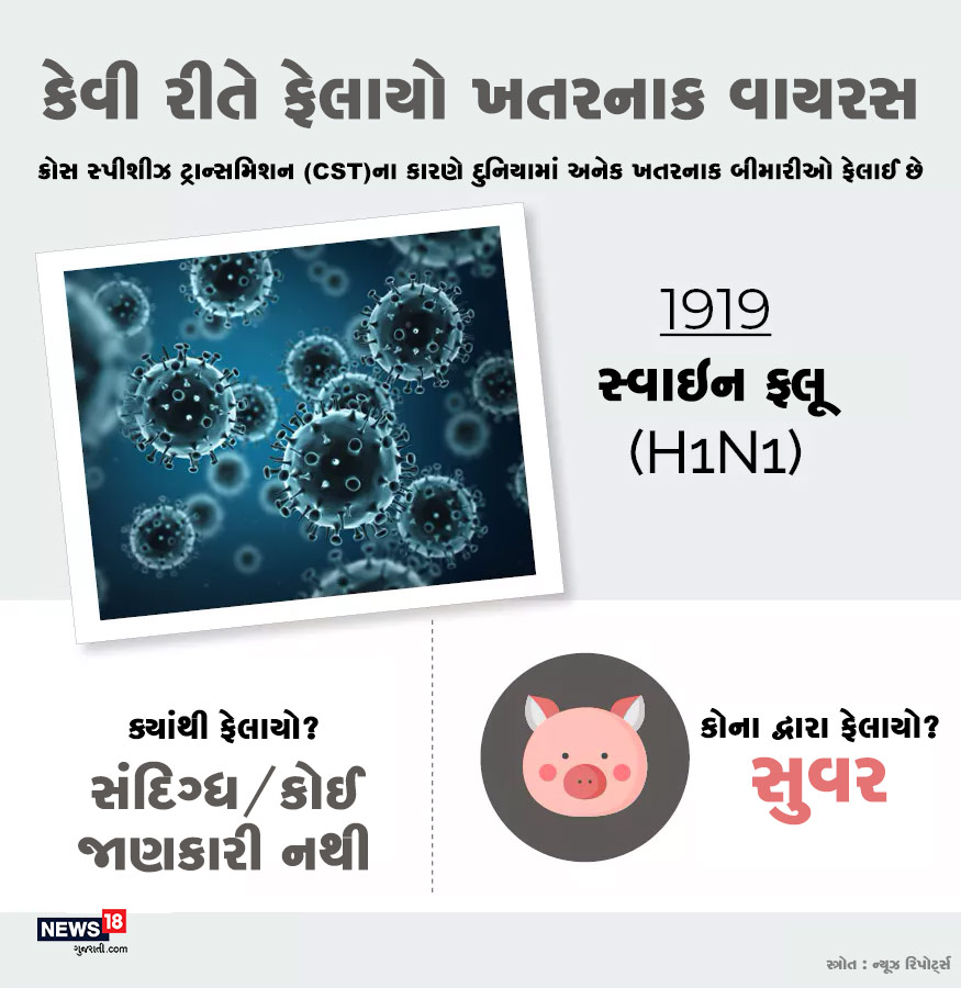 સૌથી પહેલા 1919માં સ્વાઇન ફ્લૂ એટલે કે H1N1 ફેલાયો હતો. તે ક્યાંથી ફેલાયો તેની જાણકારી નથી. પરંતુ તે વાયરસ સુવરના માધ્યમથી માણસોમાં ફેલાયો હતો. સૌથી પહેલા 1919માં સ્વાઇન ફ્લૂ એટલે કે H1N1 ફેલાયો હતો. તે ક્યાંથી ફેલાયો તેની જાણકારી નથી. પરંતુ તે વાયરસ સુવરના માધ્યમથી માણસોમાં ફેલાયો હતો.
