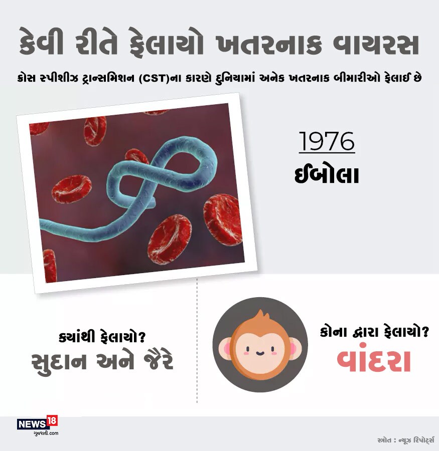 આફ્રીકી મહાદ્વીપમાં હાહાકાર મચાવનારો ઇબોલા વાયરસ સુદાન અને જૈરેથી દુનિયામાં ફેલાયો હતો. આ વાયરસ વાંદરાઓથી ફેલાયો હતો. આફ્રીકી મહાદ્વીપમાં હાહાકાર મચાવનારો ઇબોલા વાયરસ સુદાન અને જૈરેથી દુનિયામાં ફેલાયો હતો. આ વાયરસ વાંદરાઓથી ફેલાયો હતો.