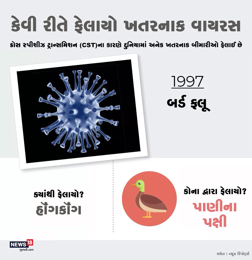 વર્ષ 1997માં બર્ડ ફ્લૂ હૉંગકૉંગથી ફેલાયો હતો. તે વાયરસ પાણીના પક્ષીના માધ્યમથી માણસોમાં ફેલાયો હતો. વર્ષ 1997માં બર્ડ ફ્લૂ હૉંગકૉંગથી ફેલાયો હતો. તે વાયરસ પાણીના પક્ષીના માધ્યમથી માણસોમાં ફેલાયો હતો.