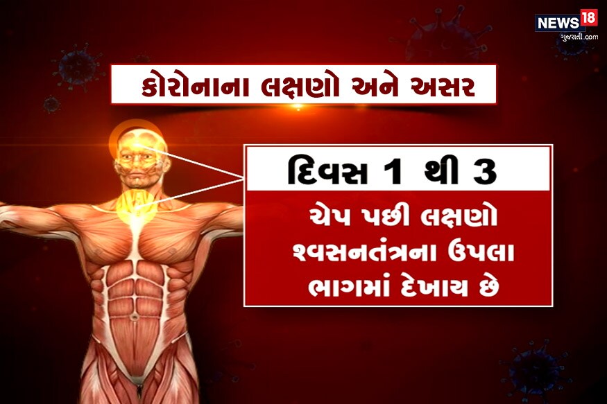 કોરોના વાયરસનો ચેપ લાગતા સૌથી પહેલા તેની અસર શ્વસન તંત્રમાં થાય છે. શ્વસનતંત્રના ઉપલા ભાગમાં શરૂઆતી 3 દિવસમાં દેખાવા લાગે છે. કોરોના વાયરસનો ચેપ લાગતા સૌથી પહેલા તેની અસર શ્વસન તંત્રમાં થાય છે. શ્વસનતંત્રના ઉપલા ભાગમાં શરૂઆતી 3 દિવસમાં દેખાવા લાગે છે.
