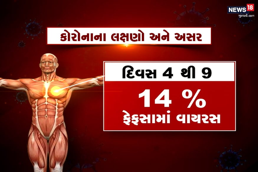 જે બાદ બીજા તબક્કા એટલે દિવસ 4 થી 9માં 14 ટકા ફેફસામાં કોરોનાનો વાયરસ ભળવા લાગે છે.<br />જે પછી દર્દીને શ્વાસ લેવામાં તકલીફ થવાની સમસ્યા ઊભી થાય છે. જે બાદ બીજા તબક્કા એટલે દિવસ 4 થી 9માં 14 ટકા ફેફસામાં કોરોનાનો વાયરસ ભળવા લાગે છે.<br />જે પછી દર્દીને શ્વાસ લેવામાં તકલીફ થવાની સમસ્યા ઊભી થાય છે.