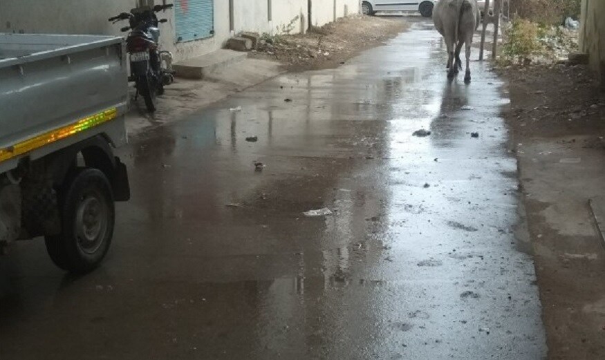 કમોસમી વરસાદ અંગે હવામાન વિભાગનાં જણાવ્યા મુજબ દક્ષિણ પશ્ચિમ રાજસ્થાન પર સર્જાયેલી બન્ને સિસ્ટમની અસર હેઠળ 11 માર્ચે ઉત્તર ગુજરાતમાં બનાસકાંઠા તેમજ સૌરાષ્ટ્રમાં દ્વારકા, જૂનાગઢ, ગીર સોમનાથ તેમજ કચ્છ વિસ્તારમાં જ્યારે 12 માર્ચે બનાસકાંઠા ઉપરાંત અમદાવાદ અને ગાંધીનગર, દ્વારકા અને કચ્છ વિસ્તારમાં વરસાદી ઝાપટાં પડે તેવી શક્યતા છે. ત્યારબાદ વાતાવરણ સૂકું રહેશે. કમોસમી વરસાદ અંગે હવામાન વિભાગનાં જણાવ્યા મુજબ દક્ષિણ પશ્ચિમ રાજસ્થાન પર સર્જાયેલી બન્ને સિસ્ટમની અસર હેઠળ 11 માર્ચે ઉત્તર ગુજરાતમાં બનાસકાંઠા તેમજ સૌરાષ્ટ્રમાં દ્વારકા, જૂનાગઢ, ગીર સોમનાથ તેમજ કચ્છ વિસ્તારમાં જ્યારે 12 માર્ચે બનાસકાંઠા ઉપરાંત અમદાવાદ અને ગાંધીનગર, દ્વારકા અને કચ્છ વિસ્તારમાં વરસાદી ઝાપટાં પડે તેવી શક્યતા છે. ત્યારબાદ વાતાવરણ સૂકું રહેશે.