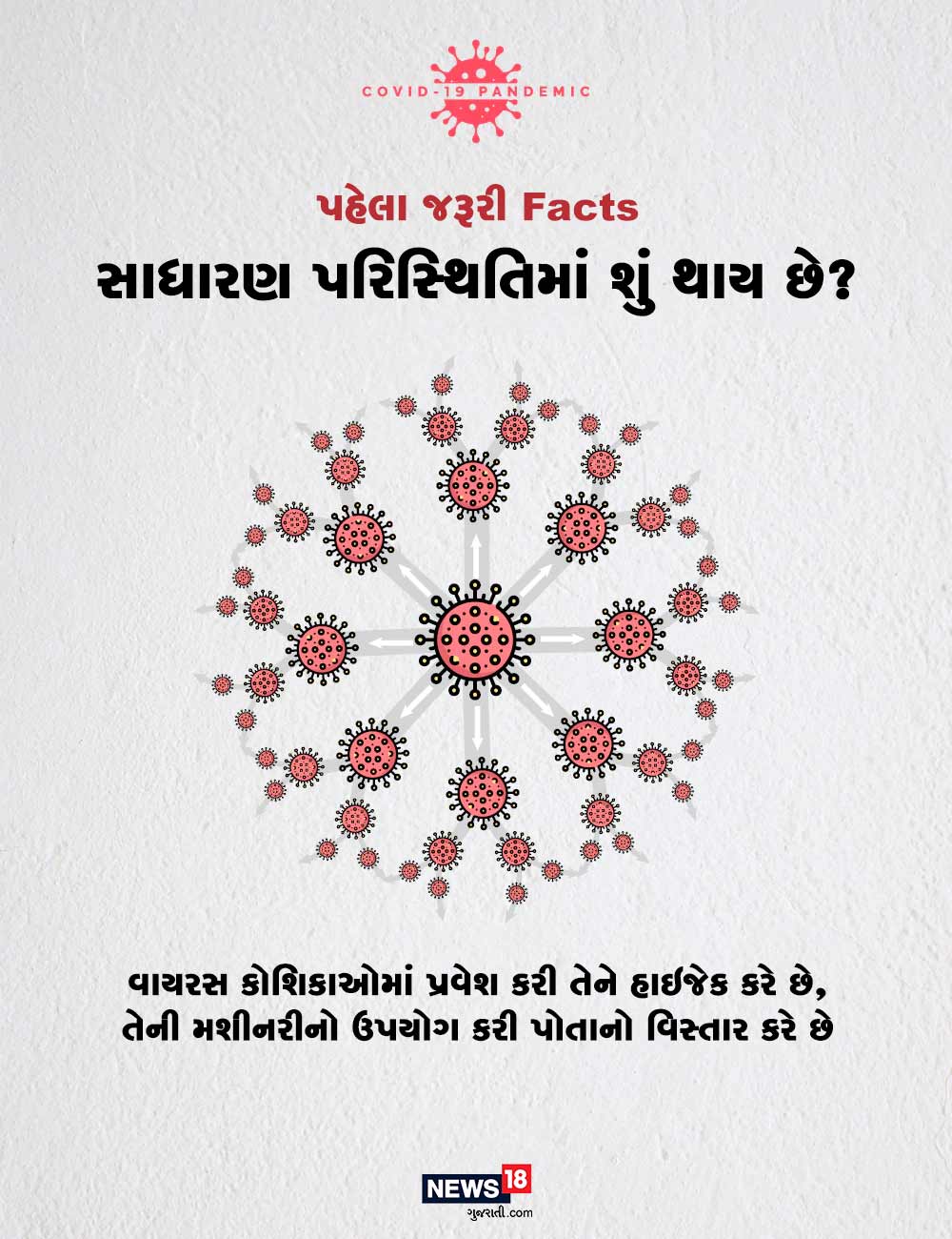 સાધારણ પરિસ્થિતિમાં શું થાય છે? - વાયરસ કોશિકાઓમાં પ્રવેશ કરી તેને હાઇજેક કરે છે, તેની મશીનરીનો ઉપયોગ કરી પોતાનો વિસ્તાર કરે છે. સાધારણ પરિસ્થિતિમાં શું થાય છે? - વાયરસ કોશિકાઓમાં પ્રવેશ કરી તેને હાઇજેક કરે છે, તેની મશીનરીનો ઉપયોગ કરી પોતાનો વિસ્તાર કરે છે.