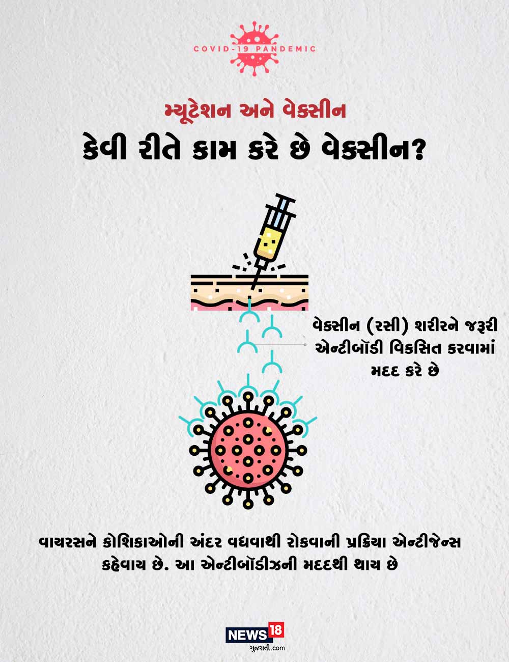 વેક્સીન (રસી) શરીરને જરૂરી એન્ટીબૉડી વિકસિત કરવામાં મદદ કરે છે. વાયરસને કોશિકાઓની અંદર વધવાથી રોકવાની પ્રક્રિયા એન્ટીજેન્સ કહેવાય છે. આ એન્ટીબૉડીઝની મદદથી થાય છે. વેક્સીન (રસી) શરીરને જરૂરી એન્ટીબૉડી વિકસિત કરવામાં મદદ કરે છે. વાયરસને કોશિકાઓની અંદર વધવાથી રોકવાની પ્રક્રિયા એન્ટીજેન્સ કહેવાય છે. આ એન્ટીબૉડીઝની મદદથી થાય છે.