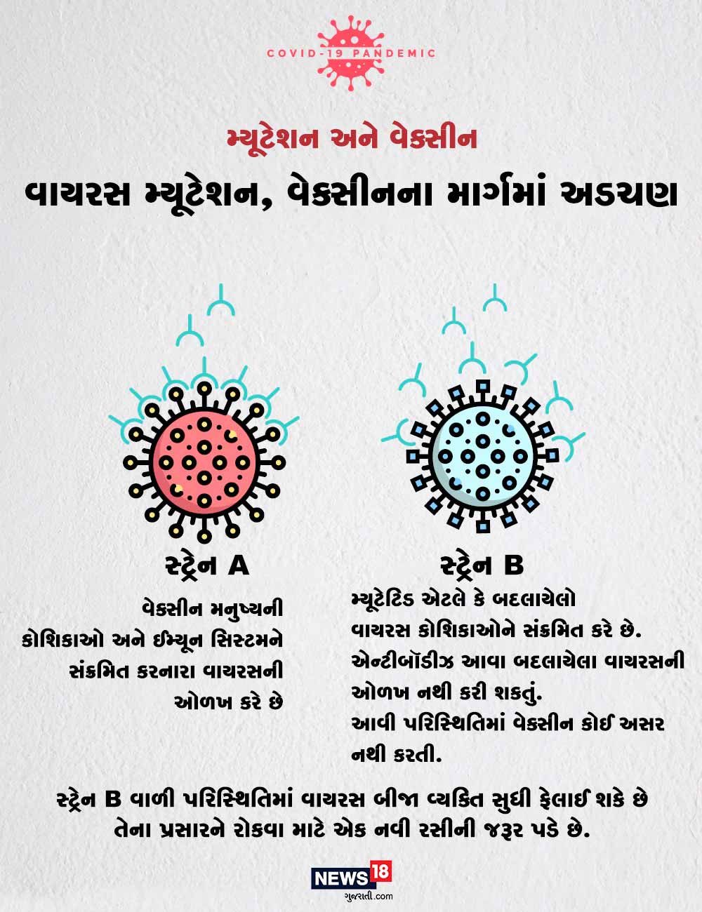 સ્ટ્રેન A - વેક્સીન મનુષ્યની કોશિકાઓ અને ઈમ્યૂન સિસ્ટમને સંક્રમિત કરનારા વાયરસની ઓળખ કરે છે. સ્ટ્રેન B- મ્યૂટેટિડ એટલે કે બદલાયેલો વાયરસ કોશિકાઓને સંક્રમિત કરે છે. એન્ટીબૉડીઝ આવા બદલાયેલા વાયરસની ઓળખ નથી કરી શકતું. આવી પરિસ્થિતિમાં વેક્સીન કોઈ અસર નથી કરતી. સ્ટ્રેન Bવાળી પરિસ્થિતિમાં વાયરસ બીજા વ્યક્તિ સુધી ફેલાઈ શકે છે. તેના પ્રસારને રોકવા માટે એક નવી રસીની જરૂર પડે છે. સ્ટ્રેન A - વેક્સીન મનુષ્યની કોશિકાઓ અને ઈમ્યૂન સિસ્ટમને સંક્રમિત કરનારા વાયરસની ઓળખ કરે છે. સ્ટ્રેન B- મ્યૂટેટિડ એટલે કે બદલાયેલો વાયરસ કોશિકાઓને સંક્રમિત કરે છે. એન્ટીબૉડીઝ આવા બદલાયેલા વાયરસની ઓળખ નથી કરી શકતું. આવી પરિસ્થિતિમાં વેક્સીન કોઈ અસર નથી કરતી. સ્ટ્રેન Bવાળી પરિસ્થિતિમાં વાયરસ બીજા વ્યક્તિ સુધી ફેલાઈ શકે છે. તેના પ્રસારને રોકવા માટે એક નવી રસીની જરૂર પડે છે.