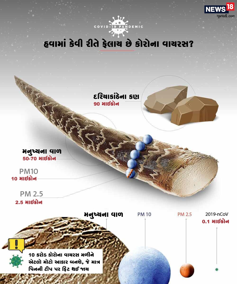 કોરોનાનો આકાર એટલો નાનો હોય છે કે 10 કરોડ વાયરસ મળીને માત્ર એટલો જ મોટો હોય છે કે એક પિનની ટોચ પર ટકી શકે. તો તમે તેની સૂક્ષ્મતાનો અંદાજ લગાવી શકો છો. કોરોનાનો આકાર એટલો નાનો હોય છે કે 10 કરોડ વાયરસ મળીને માત્ર એટલો જ મોટો હોય છે કે એક પિનની ટોચ પર ટકી શકે. તો તમે તેની સૂક્ષ્મતાનો અંદાજ લગાવી શકો છો.