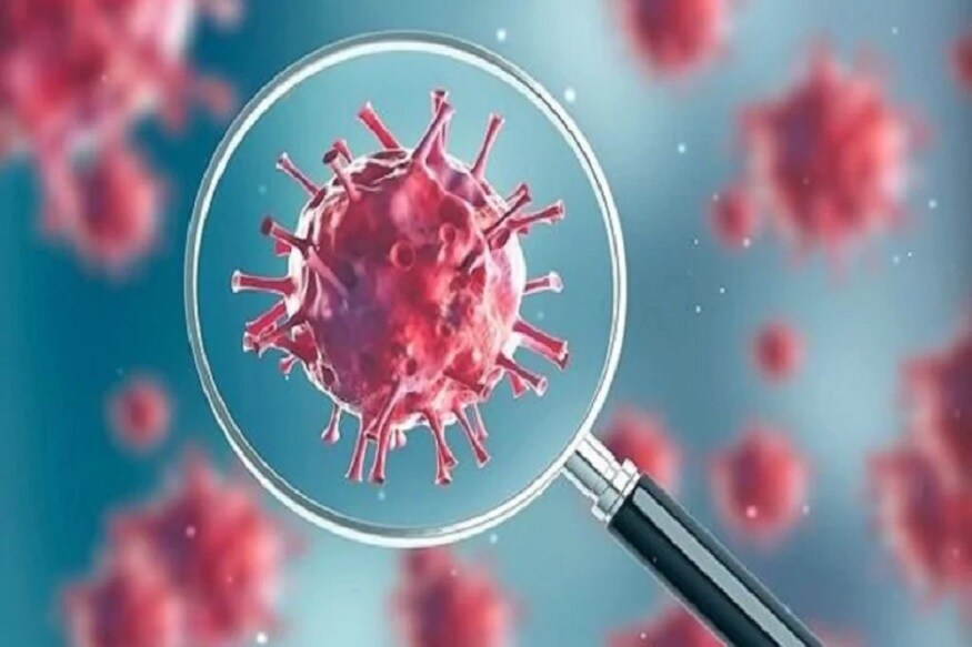 નવી દિલ્હીઃ કોરોના વાયરસ (coronavirus) પ્રાણીઓમાંથી માણસોને સંક્રમિત કરવું અને શરીરમાં ઝડપથી ફેલાવાને અનુકૂળ હતો. તાજેતરમાં થયેલી સ્ટડીમાં પ્રાણીઓમાંથી માણસમાં ફેલાતી આ બીમારી ઉપર પ્રકાશ પાડ્યો છે. યુનિવર્સિટી ઓફ ટેક્સાસના શોધકર્તાઓએ પ્રાણીઓમાં કોરોના અને તેનાથી મળતા વાયરસનું અનુવાંશિક વિશ્લેષણ કર્યું છે. અભ્યાસમાં જાણવા મળ્યું કે આ વાયરસ ચામાચીડિયાથી ફેલાય છે. (પ્રતિકાત્મક તસવીર) નવી દિલ્હીઃ કોરોના વાયરસ (coronavirus) પ્રાણીઓમાંથી માણસોને સંક્રમિત કરવું અને શરીરમાં ઝડપથી ફેલાવાને અનુકૂળ હતો. તાજેતરમાં થયેલી સ્ટડીમાં પ્રાણીઓમાંથી માણસમાં ફેલાતી આ બીમારી ઉપર પ્રકાશ પાડ્યો છે. યુનિવર્સિટી ઓફ ટેક્સાસના શોધકર્તાઓએ પ્રાણીઓમાં કોરોના અને તેનાથી મળતા વાયરસનું અનુવાંશિક વિશ્લેષણ કર્યું છે. અભ્યાસમાં જાણવા મળ્યું કે આ વાયરસ ચામાચીડિયાથી ફેલાય છે. (પ્રતિકાત્મક તસવીર)