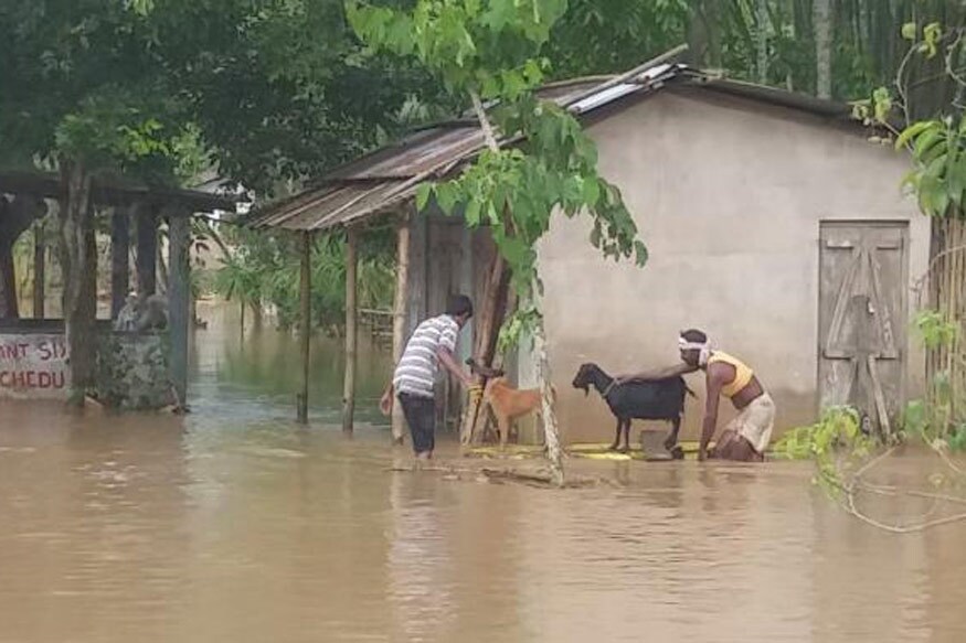 ગુવાહાટીઃ આસામ (Assam)માં પૂર (Flood)ની સ્થિતિ વધુ ખરાબ થઈ ગઈ છે. પૂરના કારણે રાજ્યમાં એક વ્યક્તિનું મોત થયું છે અને 11 જિલ્લાઓમાં લગભગ 3 લાખ લોકો પ્રભાવિત થયા છે. આસામ ડિઝાસ્ટર મેનેજમેન્ટ ઓથોરિટી (ASDMA)ના પૂર રિપોર્ટ મુજબ, ગોલપરા જિલ્લાના રોંગજુલીમાં એક વ્યક્તિનું મોત થયું છે. ગુવાહાટીઃ આસામ (Assam)માં પૂર (Flood)ની સ્થિતિ વધુ ખરાબ થઈ ગઈ છે. પૂરના કારણે રાજ્યમાં એક વ્યક્તિનું મોત થયું છે અને 11 જિલ્લાઓમાં લગભગ 3 લાખ લોકો પ્રભાવિત થયા છે. આસામ ડિઝાસ્ટર મેનેજમેન્ટ ઓથોરિટી (ASDMA)ના પૂર રિપોર્ટ મુજબ, ગોલપરા જિલ્લાના રોંગજુલીમાં એક વ્યક્તિનું મોત થયું છે.