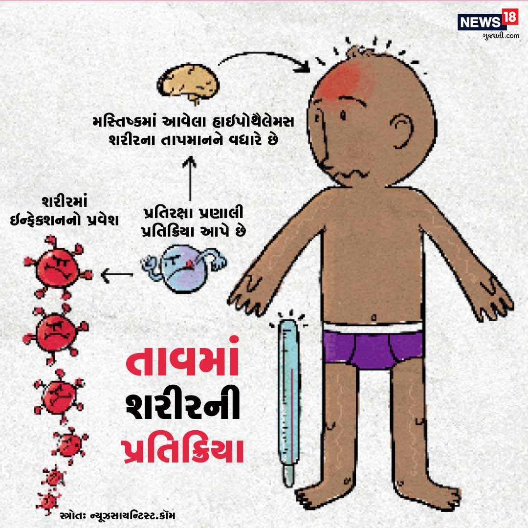 જ્યારે શરીરમાં ઇન્ફેક્શનનો પ્રવેશ થાય છે. મસ્તિષ્કમાં હાજર હાઇપોથૈલસથી શરીરનું તાપમાન વધે છે. તેનાથી આપણી પ્રતિરક્ષા પ્રણાલી સક્રિય થઈ જાય છે. જ્યારે શરીરમાં ઇન્ફેક્શનનો પ્રવેશ થાય છે. મસ્તિષ્કમાં હાજર હાઇપોથૈલસથી શરીરનું તાપમાન વધે છે. તેનાથી આપણી પ્રતિરક્ષા પ્રણાલી સક્રિય થઈ જાય છે.