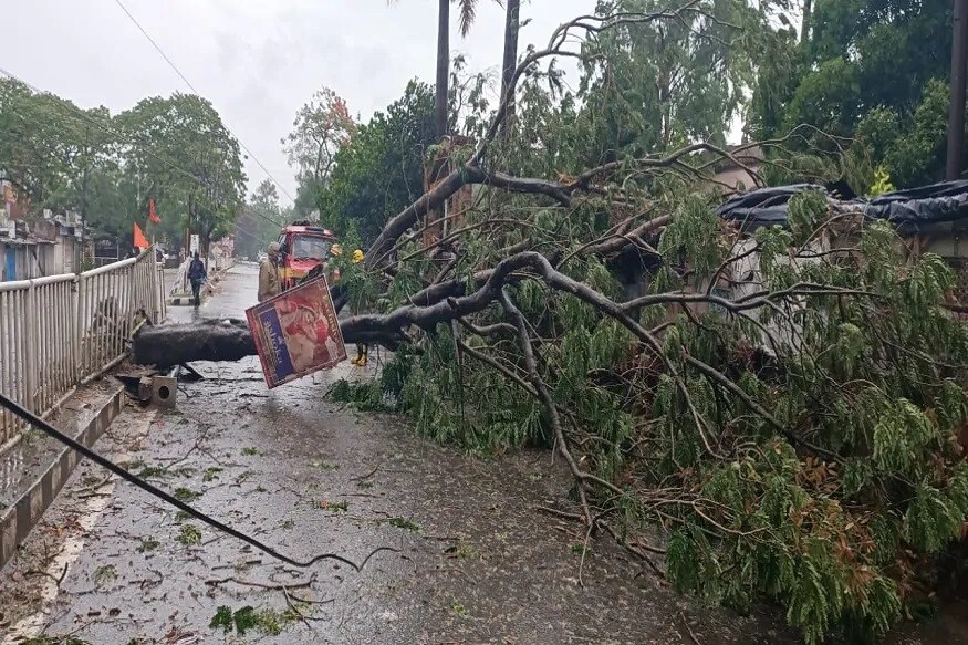 બંગાળની ખાડીમાં ઊભા થયેલું સુપર સાઇક્લોન (Super Cyclone Amphan) પશ્ચિમ બંગાળ (West Bengal)ના દરિયાકાંઠે ટકરાયું છે. જે પછી 21 વર્ષ પછી વાવાઝોડાના કારણે મોટો વિનાશ થવાની ભીતી લોકોના મનમાં જાગી છે. વાવાઝોડા અમ્ફાનના આવતા જ ઓડિસ્સા અને પશ્ચિમ બંગાળના એક વિસ્તારોમાં ભારે પવન અને વરસાદે ઠેર ઠેર વૃક્ષોને જમીનદોસ્ત કર્યા છે. બંગાળની ખાડીમાં ઊભા થયેલું સુપર સાઇક્લોન (Super Cyclone Amphan) પશ્ચિમ બંગાળ (West Bengal)ના દરિયાકાંઠે ટકરાયું છે. જે પછી 21 વર્ષ પછી વાવાઝોડાના કારણે મોટો વિનાશ થવાની ભીતી લોકોના મનમાં જાગી છે. વાવાઝોડા અમ્ફાનના આવતા જ ઓડિસ્સા અને પશ્ચિમ બંગાળના એક વિસ્તારોમાં ભારે પવન અને વરસાદે ઠેર ઠેર વૃક્ષોને જમીનદોસ્ત કર્યા છે.