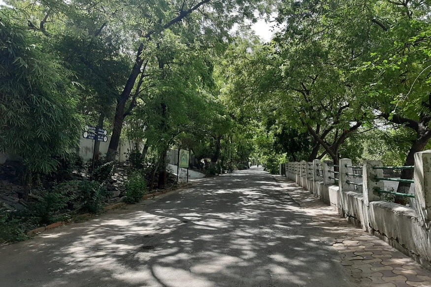 કાંકરિયા પ્રાણીસંગ્રાહલયમાં પ્રાણી અને પ્રાણીની સેવા કરતા લોકો વચ્ચે સોશિયલ ડિસ્ટન્સ રાખવામાં આવે છે.જ્યારે પ્રાણીઓને જમવાનું આવે છે ત્યારે પ્રાણીઓને ટચ કરતા નથી.પ્રાણીઓની સેવા કરતા લોકો ગ્લોઝ, માસ્ક પહેરીને કરે છે.તેમજ પાંજરા અને ડી ઇન્ફેક્શન કરવામાં આવે છે. અને પ્રાણીઓની પણ તપાસ કરવામાં આવે છે.જોકે અત્યાર સુધી કોઈ પ્રાણીઓમાં લક્ષણો જોવા મળ્યા નથી. કાંકરિયા પ્રાણીસંગ્રાહલયમાં પ્રાણી અને પ્રાણીની સેવા કરતા લોકો વચ્ચે સોશિયલ ડિસ્ટન્સ રાખવામાં આવે છે.જ્યારે પ્રાણીઓને જમવાનું આવે છે ત્યારે પ્રાણીઓને ટચ કરતા નથી.પ્રાણીઓની સેવા કરતા લોકો ગ્લોઝ, માસ્ક પહેરીને કરે છે.તેમજ પાંજરા અને ડી ઇન્ફેક્શન કરવામાં આવે છે. અને પ્રાણીઓની પણ તપાસ કરવામાં આવે છે.જોકે અત્યાર સુધી કોઈ પ્રાણીઓમાં લક્ષણો જોવા મળ્યા નથી.
