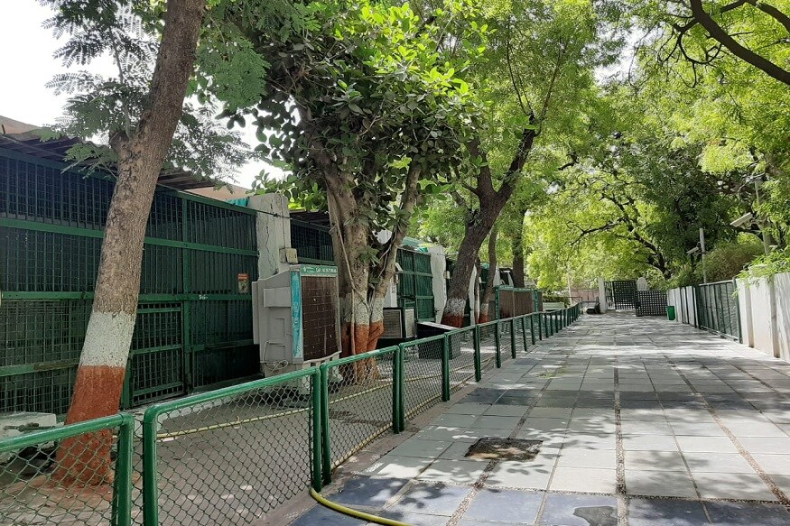કોરોના કહેર ને કારણે ગતિશીલ ગુજરાતની ગતિ થંભી ગઈ છે. ટુરિઝમને કરોડો રૂપિયાનું નુકસાન થયું છે. અમદાવાદ પ્રાણીસંગ્રાહલયમાં દર વર્ષે એપિલ અને મેં મહિનામાં 4.50 લાખ લોકો આવે છે. કોરોના કહેર ને કારણે ગતિશીલ ગુજરાતની ગતિ થંભી ગઈ છે. ટુરિઝમને કરોડો રૂપિયાનું નુકસાન થયું છે. અમદાવાદ પ્રાણીસંગ્રાહલયમાં દર વર્ષે એપિલ અને મેં મહિનામાં 4.50 લાખ લોકો આવે છે.