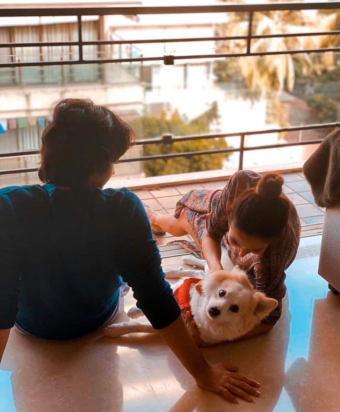  મલાઇકા તેના ઘરમાં પાલતુ કૂતરા સાથે મસ્તી કરતી દેખાય છે.