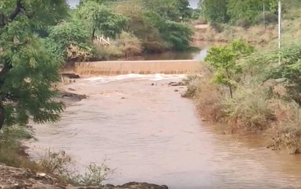 અમરેલી : અમરેલી જિલ્લામાં વીજળી પડવાની ઘટના સામે આવી છે. સાવરકુંડલા પાસે આવેલા નાળ ગામે વીજળી પડતા એક માલધારીની 16 બકરીના સાગમટે મોત થયા છે. માલધારી બકરી ચરાવી રહ્યા હતા ત્યારે વીજળી પડતા ઘટના ઘટી હતી. આ ઉપરાંત ડુંગરાળ વિસ્તારોમાં વરસાદ પડતા નદીઓમાં નીર આવ્યા છે. તો અમરેલીના બગસરા પંથમાં બીજા દિવસે પણ ભારે પવન સાથે વરસાદ પડ્યો છે. અમરેલી : અમરેલી જિલ્લામાં વીજળી પડવાની ઘટના સામે આવી છે. સાવરકુંડલા પાસે આવેલા નાળ ગામે વીજળી પડતા એક માલધારીની 16 બકરીના સાગમટે મોત થયા છે. માલધારી બકરી ચરાવી રહ્યા હતા ત્યારે વીજળી પડતા ઘટના ઘટી હતી. આ ઉપરાંત ડુંગરાળ વિસ્તારોમાં વરસાદ પડતા નદીઓમાં નીર આવ્યા છે. તો અમરેલીના બગસરા પંથમાં બીજા દિવસે પણ ભારે પવન સાથે વરસાદ પડ્યો છે.