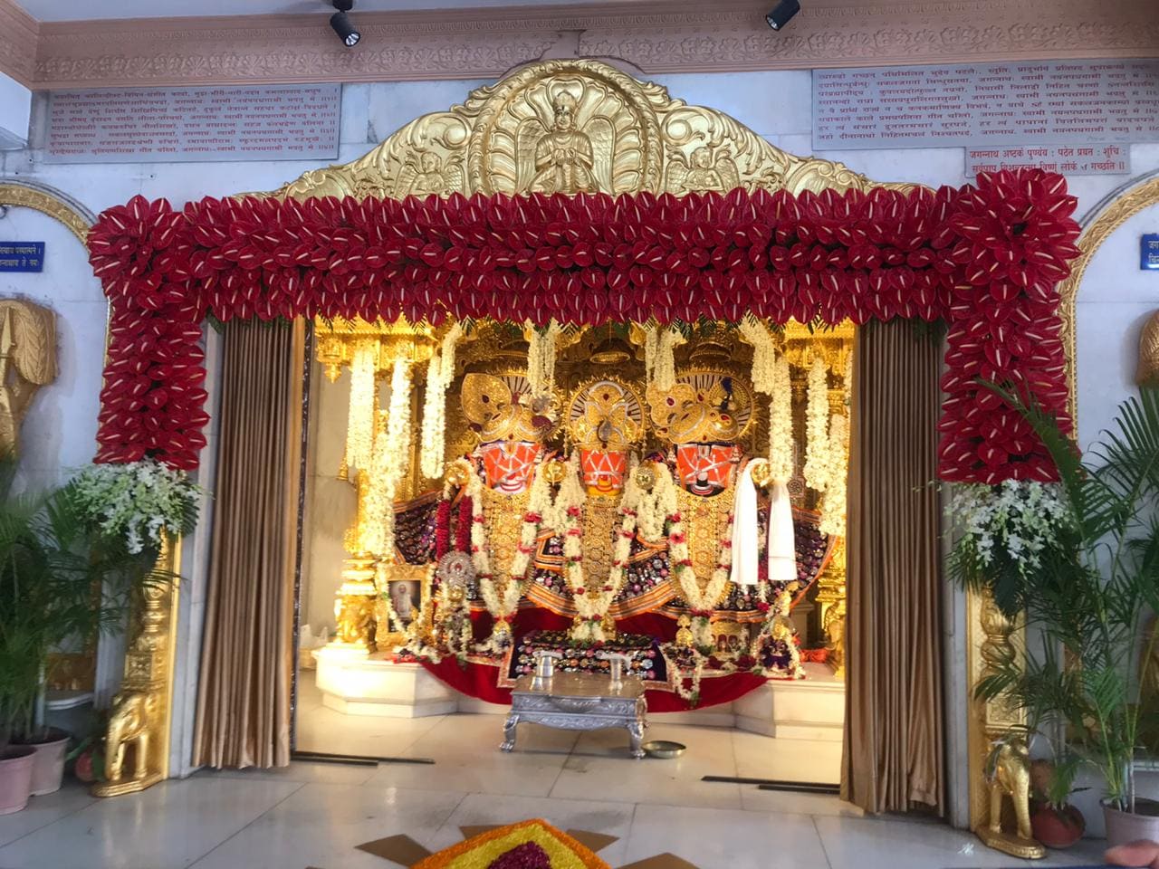 અમદાવાદની રથયાત્રા માટે આ વર્ષે આસામથી ત્રણ ગજરાજ લાવવામાં આવ્યા છે આ અંગે માહિતી આપતા જગન્નાથ મંદિરના મહંત દિલીપદાસજી મહારાજે કહ્યું કે ત્રણ ગજરાજ માંથી એક નર છે અને બે માદા છે જેમાં એકનું નામ બલરામ જ્યારે બીજી બે માદા ગજરાજનું નામ જાનકી અને સુભદ્રા રાખવામાં આવ્યું છે. અમદાવાદની રથયાત્રા માટે આ વર્ષે આસામથી ત્રણ ગજરાજ લાવવામાં આવ્યા છે આ અંગે માહિતી આપતા જગન્નાથ મંદિરના મહંત દિલીપદાસજી મહારાજે કહ્યું કે ત્રણ ગજરાજ માંથી એક નર છે અને બે માદા છે જેમાં એકનું નામ બલરામ જ્યારે બીજી બે માદા ગજરાજનું નામ જાનકી અને સુભદ્રા રાખવામાં આવ્યું છે.