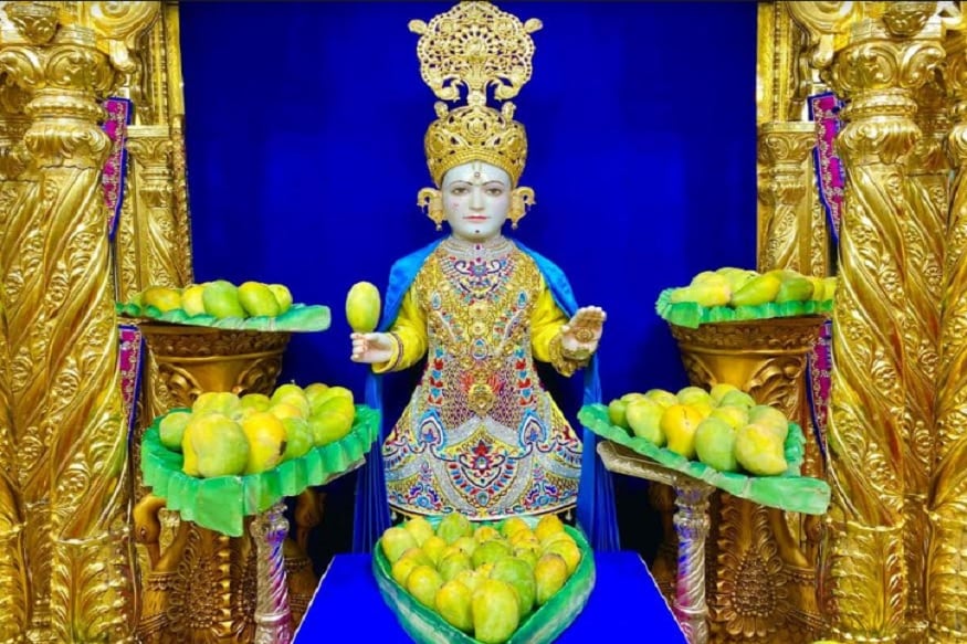ભૂમંડળ સ્થિત તીર્થોત્તમ ધામ શ્રી સ્વામિનારાયણ મંદિર મણિનગરમાં સર્વાવતારી શ્રી સ્વામિનારાયણ ભગવાનને આંબા કેરીનો મનોરથ - આમ્રોત્સવ - અન્નકૂટ ધરાવવામાં આવ્યો હતો છે. જે આમ્રોત્સવ સંતો અને હરિભકતો માટે ભારે આસ્થા અને શ્રદ્ધા ધરાવે છે. જેથી જેઠ સુદ અગિયારસ - નિર્જળા - ભીમ એકાદશીના પવિત્રતમ દિવસે શ્રી સ્વામિનારાયણ ભગવાન, શ્રી હરિકૃષ્ણ મહારાજ, શ્રી સહજાનંદ સ્વામી મહારાજ, જીવનપ્રાણ શ્રી અબજીબાપાશ્રી, શ્રી સ્વામિનારાયણ ગાદીના આદ્ય આચાર્યપ્રવર જીવનપ્રાણ શ્રી મુક્તજીવન સ્વામીબાપા સમક્ષ કળિ કલ્પવૃક્ષ - આમ્રફળ - આંબા - કેરીનો મનોરમ્ય મનોરથ સજાવવામાં આવ્યો હતો. ભૂમંડળ સ્થિત તીર્થોત્તમ ધામ શ્રી સ્વામિનારાયણ મંદિર મણિનગરમાં સર્વાવતારી શ્રી સ્વામિનારાયણ ભગવાનને આંબા કેરીનો મનોરથ - આમ્રોત્સવ - અન્નકૂટ ધરાવવામાં આવ્યો હતો છે. જે આમ્રોત્સવ સંતો અને હરિભકતો માટે ભારે આસ્થા અને શ્રદ્ધા ધરાવે છે. જેથી જેઠ સુદ અગિયારસ - નિર્જળા - ભીમ એકાદશીના પવિત્રતમ દિવસે શ્રી સ્વામિનારાયણ ભગવાન, શ્રી હરિકૃષ્ણ મહારાજ, શ્રી સહજાનંદ સ્વામી મહારાજ, જીવનપ્રાણ શ્રી અબજીબાપાશ્રી, શ્રી સ્વામિનારાયણ ગાદીના આદ્ય આચાર્યપ્રવર જીવનપ્રાણ શ્રી મુક્તજીવન સ્વામીબાપા સમક્ષ કળિ કલ્પવૃક્ષ - આમ્રફળ - આંબા - કેરીનો મનોરમ્ય મનોરથ સજાવવામાં આવ્યો હતો.