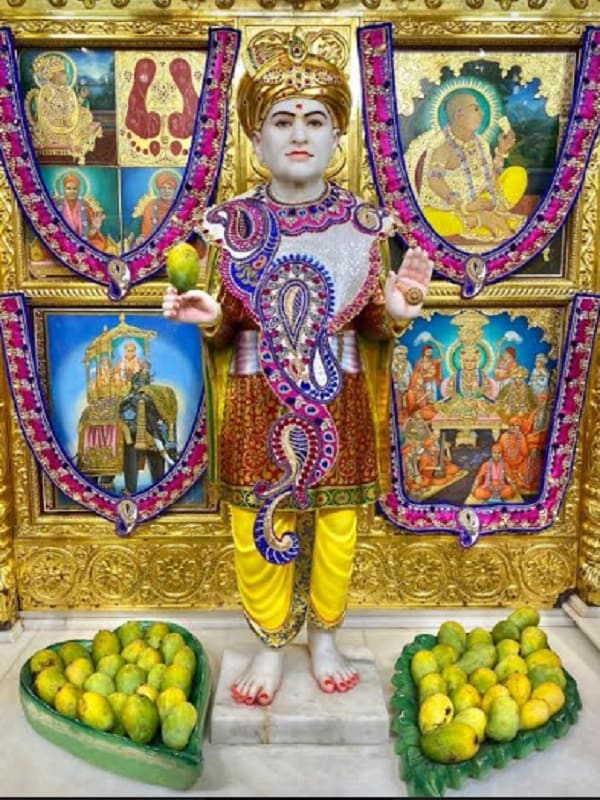 તમને જણાવી દઈએ કે, ઉનાળા - ગ્રીષ્મ ઋતુમાં કેરીની સિઝન હોય છે. ત્યારે શ્રી સ્વામિનારાયણ સંપ્રદાયના મંદિરોમાં આમ્રોત્સવ - કેરીનો મનોરથ ચઢાવવાનો પણ વિશેષ મહિમા રહેલો છે. તમને જણાવી દઈએ કે, ઉનાળા - ગ્રીષ્મ ઋતુમાં કેરીની સિઝન હોય છે. ત્યારે શ્રી સ્વામિનારાયણ સંપ્રદાયના મંદિરોમાં આમ્રોત્સવ - કેરીનો મનોરથ ચઢાવવાનો પણ વિશેષ મહિમા રહેલો છે.