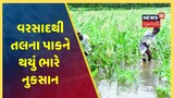 Junagadh માં સરેરાશ 7 ઇંચ જેટલો વરસાદ પડ્યો, તલના પાકને થયું ભારે નુકસાન