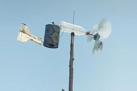 તીડને ભગાડવાનો દેશી 'જુગાડ', ખૂબ વાયરલ થયો આ વીડિયો