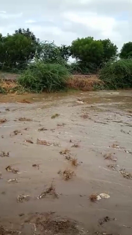 નર્મદાની કેનાલ અને બ્રાન્ચ કેનાલમાં પણ અવારનવાર ગાબડા પડે છે. ત્યારે આજે લખતર તાલુકાનાં ભડવાણા ગામ પાસે આવેલ ખોડીયારમાંના મંદિર પાસે મુંજસર પાસે કેનાલમાં ગાબડું પડતા વાવેતર કરેલ ખેતરોમાં પાણી ભરાઇ ગયા નર્મદાની કેનાલ અને બ્રાન્ચ કેનાલમાં પણ અવારનવાર ગાબડા પડે છે. ત્યારે આજે લખતર તાલુકાનાં ભડવાણા ગામ પાસે આવેલ ખોડીયારમાંના મંદિર પાસે મુંજસર પાસે કેનાલમાં ગાબડું પડતા વાવેતર કરેલ ખેતરોમાં પાણી ભરાઇ ગયા