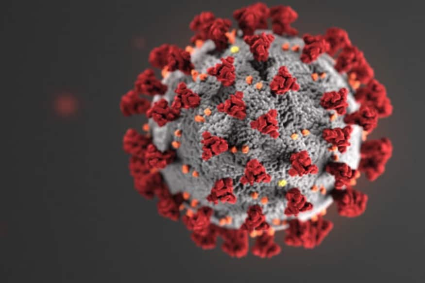 કોરોના વાયરસ (coronavirus) માત્ર માણસના ફેફસાં ઉપર જ હુમલો કરતો નથી પરંતુ કિડની, લીવર, હૃયદ, મગજ, નર્વસ સિસ્ટમ, સ્કિન અને Gastrointestinal Tractને પણ નુકસાન પહોંચાડે છે. ન્યૂયોર્કના ડોક્ટરોનો રિપોર્ટ્સની સમીક્ષા કર્યા બાદ આ વાત કરી છે. કોરોના વાયરસના સૌથી ખરાબ પ્રભાવિત થનારા શહેરોમાં ન્યૂયોર્ક (Newyork) સામેલ છે. (પ્રતિકાત્મક તસવીર) કોરોના વાયરસ (coronavirus) માત્ર માણસના ફેફસાં ઉપર જ હુમલો કરતો નથી પરંતુ કિડની, લીવર, હૃયદ, મગજ, નર્વસ સિસ્ટમ, સ્કિન અને Gastrointestinal Tractને પણ નુકસાન પહોંચાડે છે. ન્યૂયોર્કના ડોક્ટરોનો રિપોર્ટ્સની સમીક્ષા કર્યા બાદ આ વાત કરી છે. કોરોના વાયરસના સૌથી ખરાબ પ્રભાવિત થનારા શહેરોમાં ન્યૂયોર્ક (Newyork) સામેલ છે. (પ્રતિકાત્મક તસવીર)