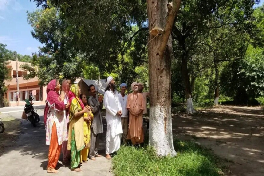 જાણકારી પ્રમાણે એક ઐતિહાસિક જંગલમાં ભગવાન શિવનું મંદિર હતું. આ જંગલના ઝાડ પંજાબ અને હિમાચલના જંગલોમાં ભાગ્યે જ જોવા મળે છે. આ જંગલમાં કોઈપણ ઝાડના લાકડાનો ઘરેલુ ઉપયોગ કરવા માટે કાપવું અશુભ માનવામાં આવે છે. અહીં શિવરાત્રી ઉપર એક ભવ્ય મેળો ભરાય છે. લોકોનું કહેવું છે કે આજથી 1600-1700 વર્ષ પહેલા જાતે તૈયાર થયેલું જંગલ કુદરતનો કરિશ્મા જોવા મળી રહ્યો છે. અહીં ફરીથી એકવાર ચમત્કાર જોવા મળ્યો છે. જાણકારી પ્રમાણે એક ઐતિહાસિક જંગલમાં ભગવાન શિવનું મંદિર હતું. આ જંગલના ઝાડ પંજાબ અને હિમાચલના જંગલોમાં ભાગ્યે જ જોવા મળે છે. આ જંગલમાં કોઈપણ ઝાડના લાકડાનો ઘરેલુ ઉપયોગ કરવા માટે કાપવું અશુભ માનવામાં આવે છે. અહીં શિવરાત્રી ઉપર એક ભવ્ય મેળો ભરાય છે. લોકોનું કહેવું છે કે આજથી 1600-1700 વર્ષ પહેલા જાતે તૈયાર થયેલું જંગલ કુદરતનો કરિશ્મા જોવા મળી રહ્યો છે. અહીં ફરીથી એકવાર ચમત્કાર જોવા મળ્યો છે.