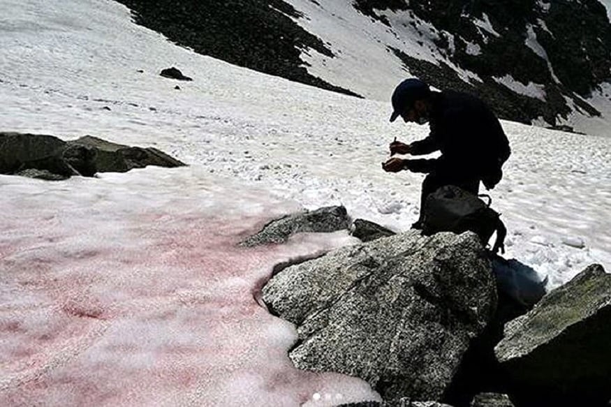 ઈટાલીયન એલ્પ્સની પાસો ગૈવિયા (Passo Gavia) નામની જગ્યા ઉપર સૌથી વધારે બરફ ગુલાબી થઈ છે. જેના કારણે તેની ઉંચાઈ 8590 ફૂટ છે. જો અહીં ઝડપથી બરફ ઓગળ્યો તો આ પહાડના નીચે સ્થિત વસ્તા ધરાવતા વિસ્તારોને તકલીફ પડી શકે છે. ઈટાલીયન એલ્પ્સની પાસો ગૈવિયા (Passo Gavia) નામની જગ્યા ઉપર સૌથી વધારે બરફ ગુલાબી થઈ છે. જેના કારણે તેની ઉંચાઈ 8590 ફૂટ છે. જો અહીં ઝડપથી બરફ ઓગળ્યો તો આ પહાડના નીચે સ્થિત વસ્તા ધરાવતા વિસ્તારોને તકલીફ પડી શકે છે.